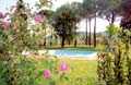 Italian holiday rental apartments in Tuscany, close to Florence. Farmhouse San Vincenzo a Torri