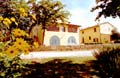 Italian holiday rental apartments in Tuscany, close to Florence. Farmhouse San Vincenzo a Torri