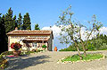 Tuscan accommodation in a renovated barn, Italy