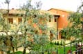 Villa La Loggia-two luxurious apartments in a graceful Tuscan country villa. Montaoine, Tuscany, Italy. May be rented as a whole to sleep 10 people.