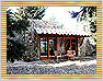 Villa Il Paggio - www.rentinginitaly.com - Italian Villa, Farmhouse and Apartment Rentals