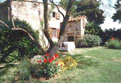 Tuscany holiday rental homes - two country houses in Chianti, Tuscany