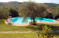 Stay in Tuscany, Italy - villa rental in Chianti