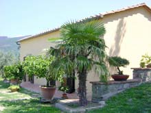 Renting a house in Tuscany, Italy - Villa il Giardino, Cortona - Italian holiday rental property. Sleeps 4 plus 1.