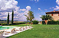 Holiday accommodation within a working farm in Tuscany, Italy