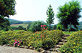 Holiday accommodation in Umbria