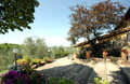 A tuscan villa to rent between Florence and Siena - Il Palmino