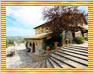 Villa Il Palmino - www.rentinginitaly.com - Italian Villa, Farmhouse and Apartment Rentals